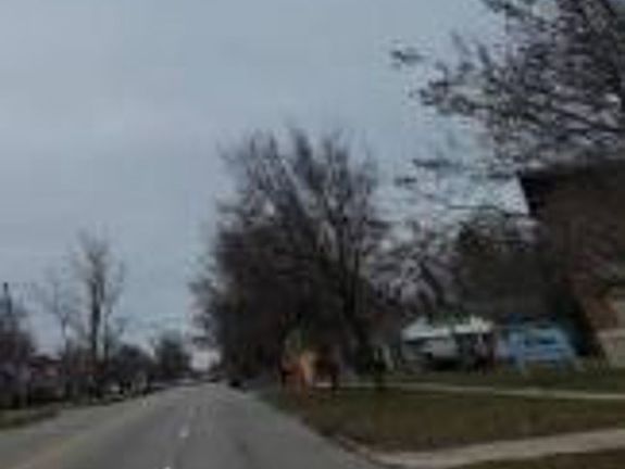 Exterior Neighborhood (street photo)