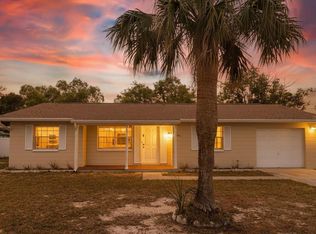 12526 Elgin Blvd, Spring Hill, FL 34609