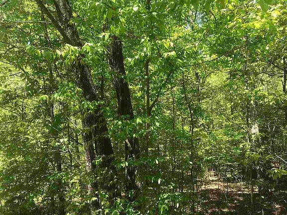 5th image of 0 Huckleberry Ln