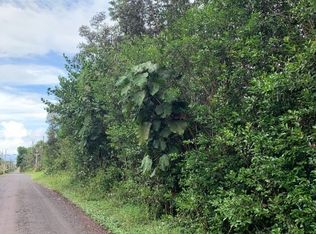 14th Avenue Laamia LOT 993, Keaau, HI 96749
