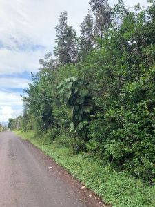 14th Avenue Laamia, Keaau, HI, 96749