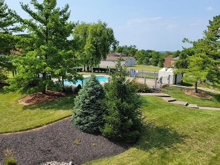 View from the Deck