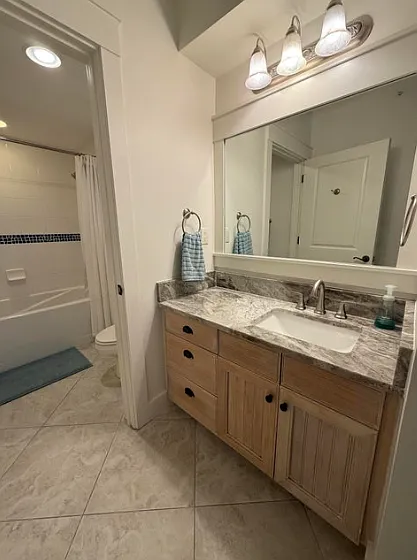 Master Bath Vanity and Separate Tub & Shower