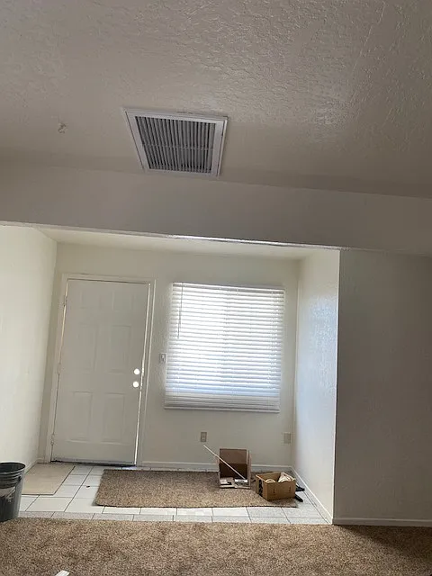 Entrance door into living room