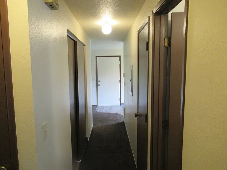 Downstairs Two Bedroom Apartment with Garage — Photo 11