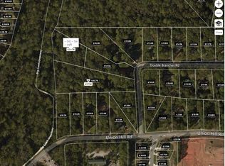 5235 Double Branches Dr, Cumming, GA 30040