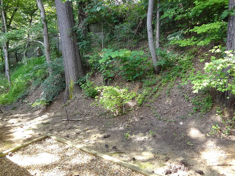 432 S Greensboro St — Photo 21