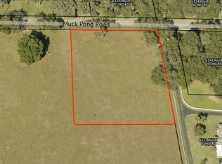 0 Muck Pond Rd, Seffner, FL 33584