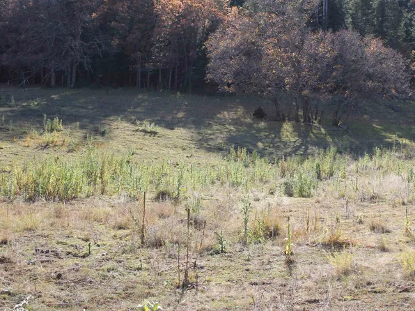 14 Elk Spgs, Cloudcroft, NM 88317