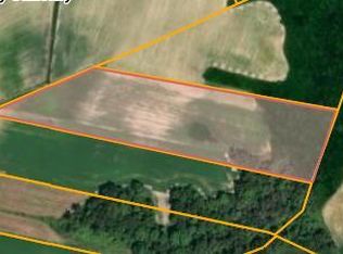 Parcel 4 Thunder Swamp Road, Mount Olive, NC 28365