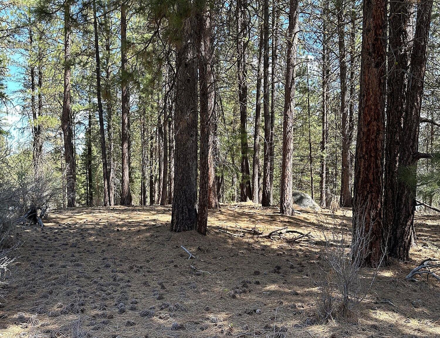 LOT 4 Waterview Way N, Chiloquin, OR 97624 MLS 220163209 Zillow