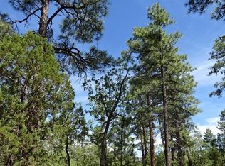 Tbd E Rim Rd, Pinetop, AZ 85935