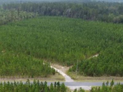 0 Jaywood Rd, Williston, SC, 29853