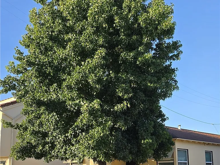 5724 California Ave — Photo 1