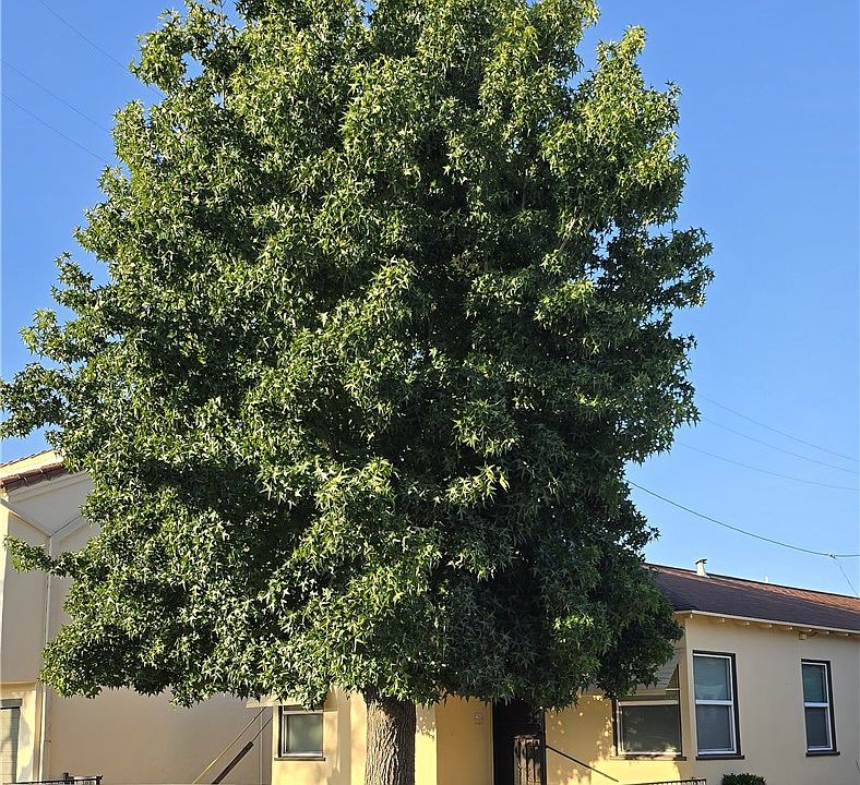 1st image of 5724 California Ave