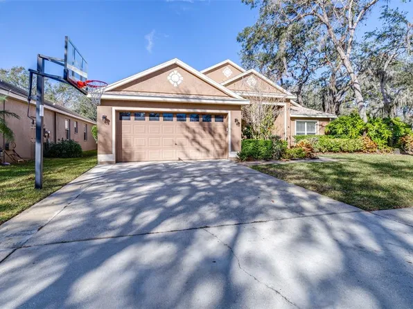 6003 Tealside Ct, Lithia, FL 33547