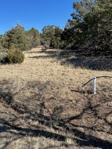 1 Straughan Ct, Sandia Park, NM, 87047