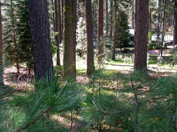 8 Moccasin Trl, Graeagle, CA 96103