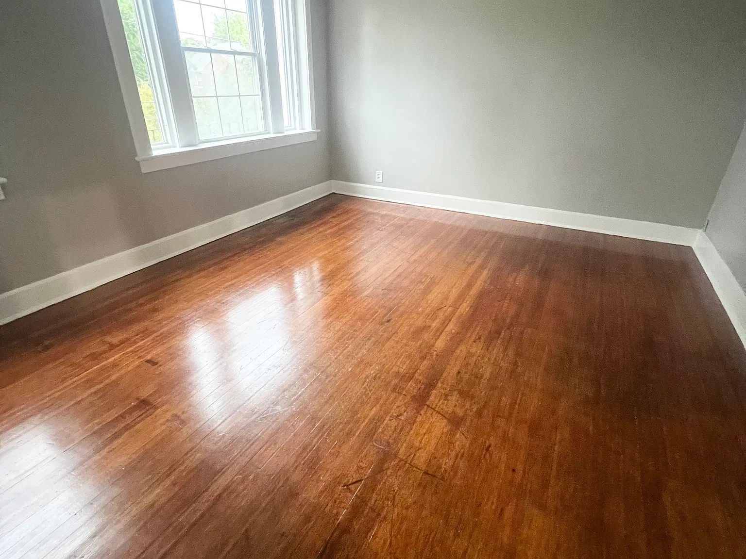 1 bed, $1,450 — Photo 2