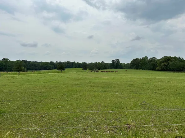 317 County Road 4404, Jacksonville, TX 75766