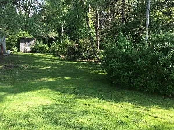 8970 Highway 105 — Photo 3