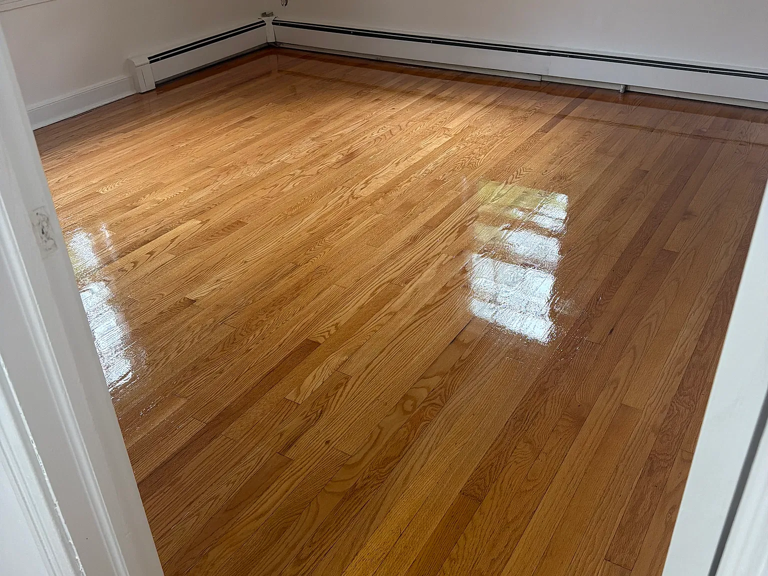 4 bed, 1627 sqft, $4,200 — Photo 3