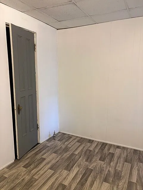 1 bed, 666 sqft, $1,000 — Photo 3
