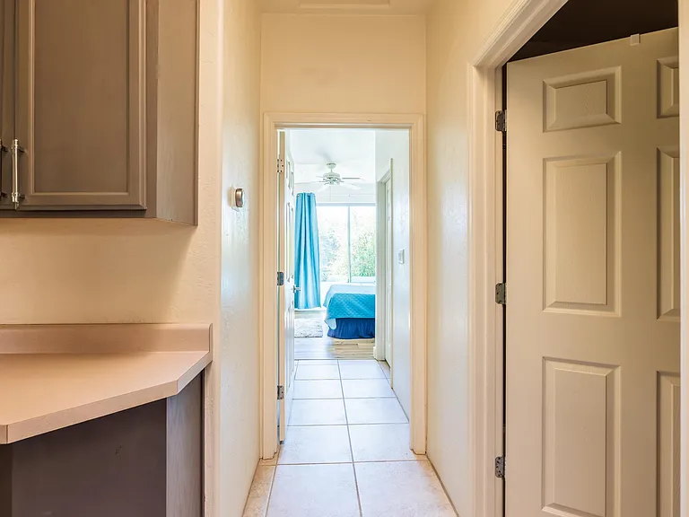 Dusty Rose Dr — Photo 27