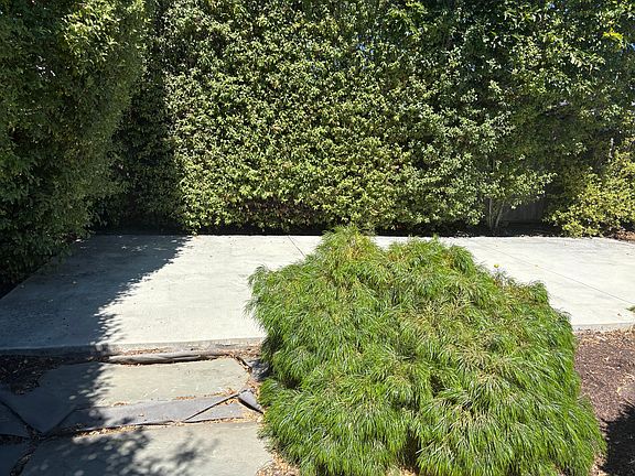 Concrete Patio Bed in Backyard