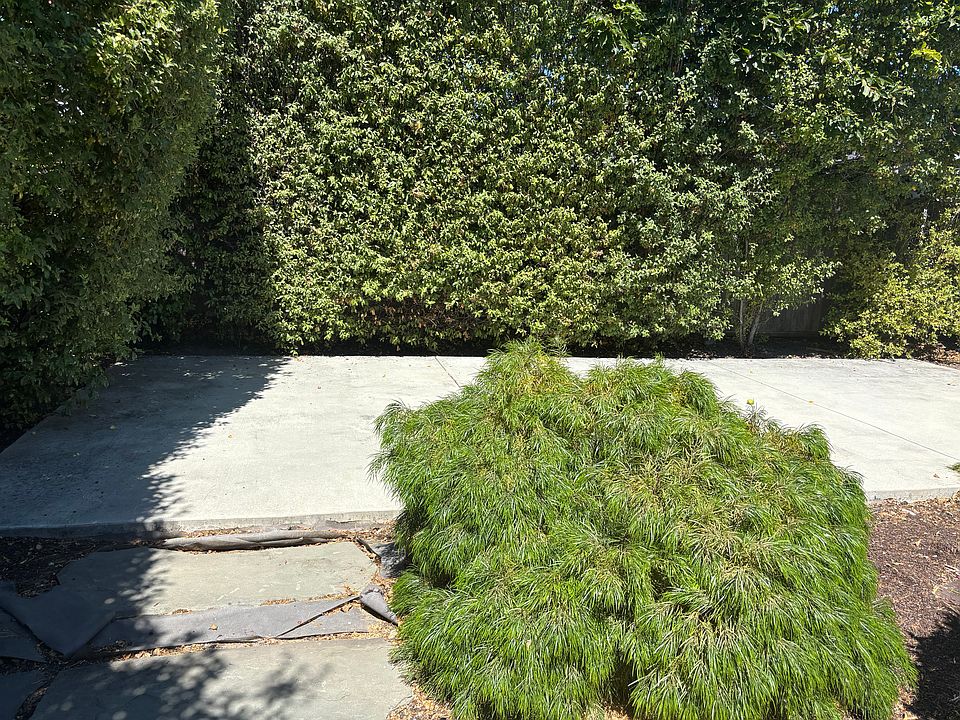 Concrete Patio Bed in Backyard