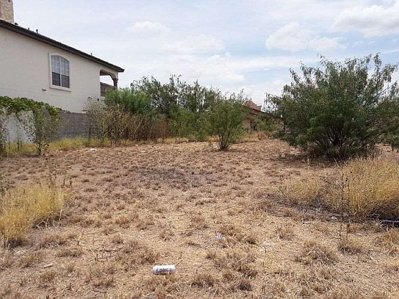 4th image of 1433 Franc Cigarroa Dr