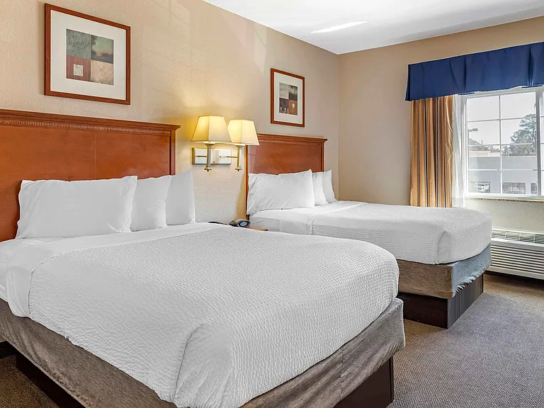Studio Suite - 2 Full Beds