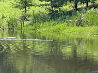 25.63 Brothers Rd, Albertville, AL 35951