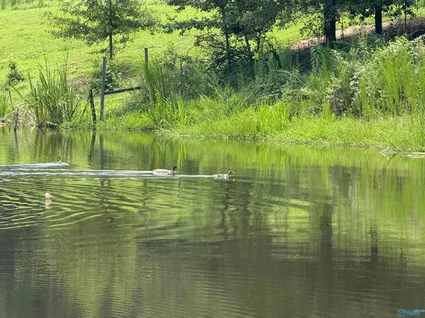 25.63 Brothers Rd, Albertville, AL 35951