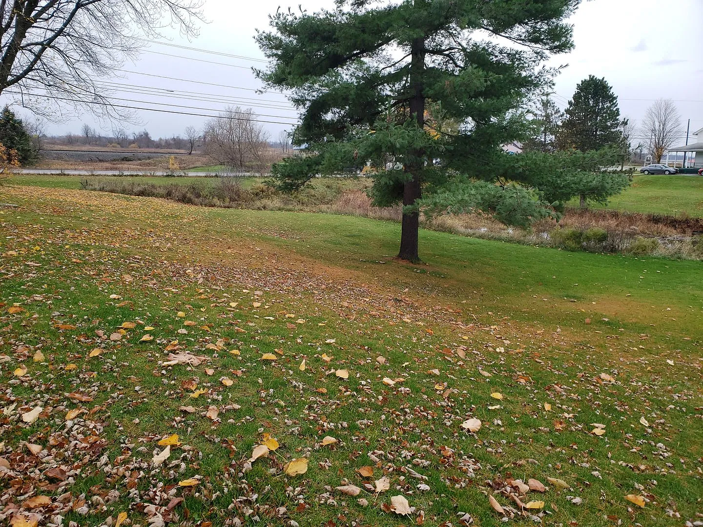 983 US HWY 11 — Photo 4