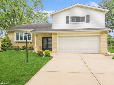 1913 E Ivy Ln, Mount Prospect, IL, 60056