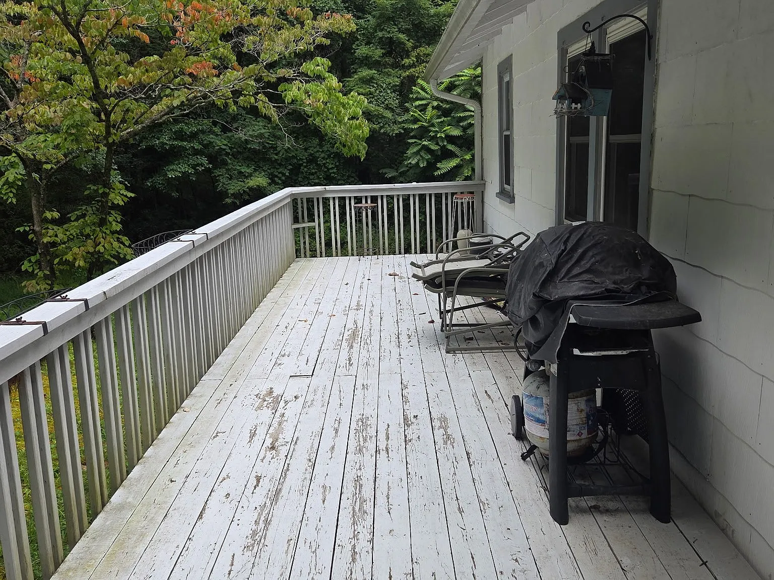 Private Cottage in Flat Rock — Photo 2