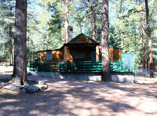 8378 Mariposa Ave, Rye, CO 81069