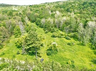 0 Wolf Run Rd #10, Savona, NY 14879