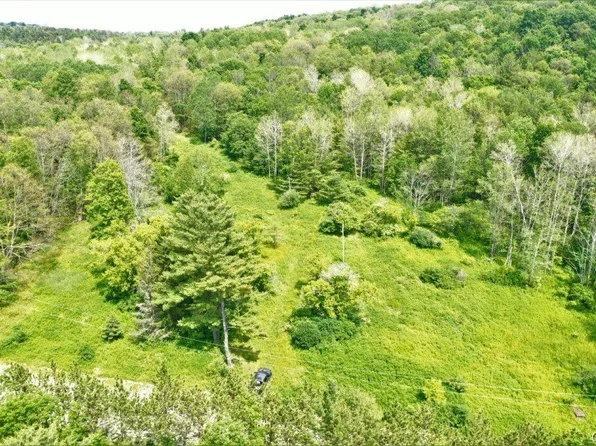 0 Wolf Run Rd #10, Savona, NY 14879