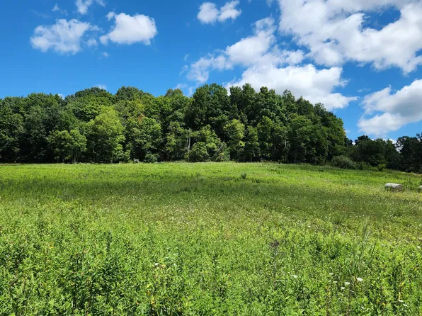 34978 State Route 681 Rd Tract 17, Albany, OH 45710