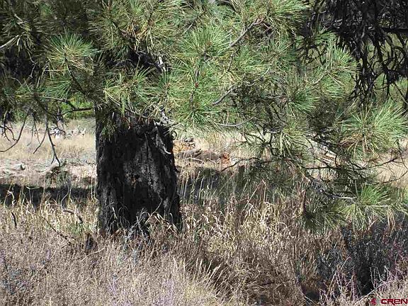 2nd image of 12 Lynx Ct