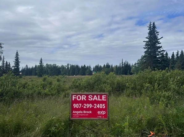 L16 B4 Plumb Bluff Ests, Anchor Pt, AK 99556