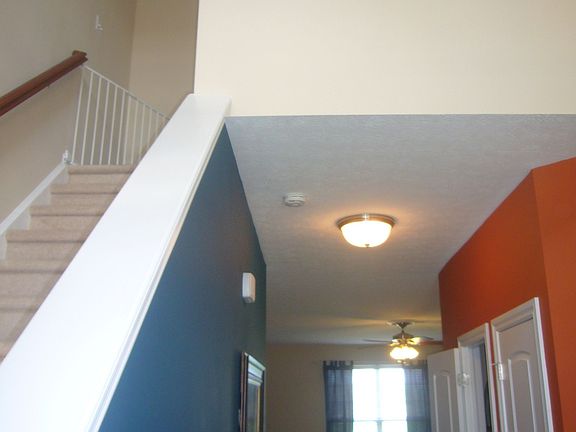 4th image of 1917 Collingwood Dr