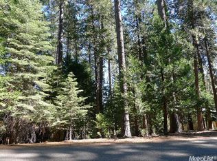 6786 Tyler Dr, Grizzly Flats, CA 95636