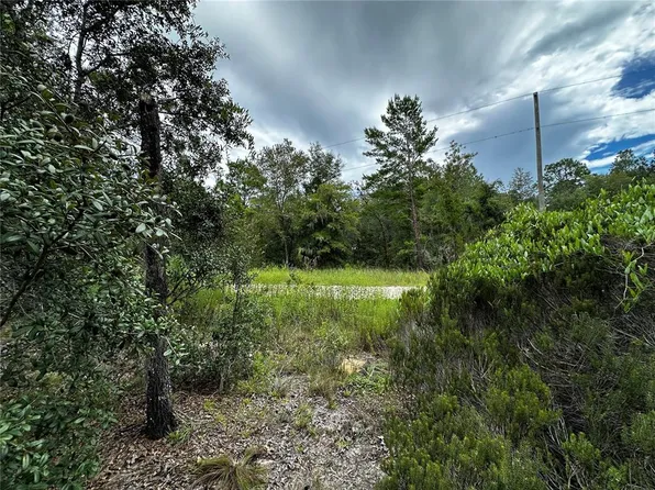 0000 NE 149TH COURT LOT 7, WILLISTON, FL 32696