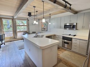 600 E Main St APT 406, Aspen, CO 81611
