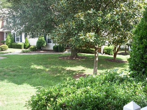 View from the Front Porch