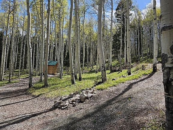 3rd image of 571 Crest Drive