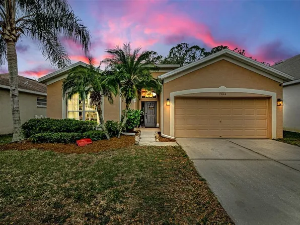 19144 MEADOW PINE DRIVE, TAMPA, FL 33647